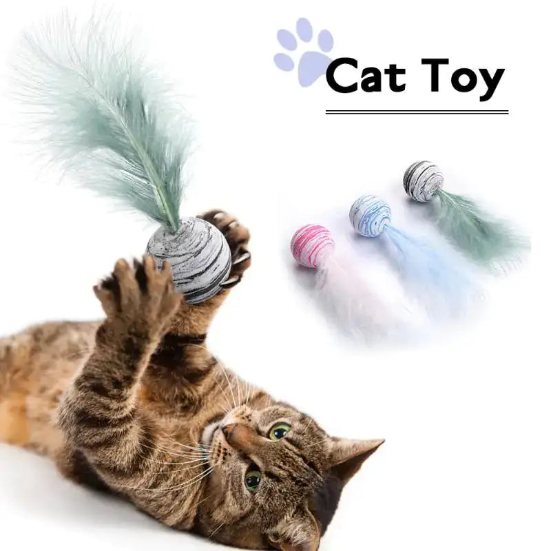 Cat playing with a feathered cat toy on a white background