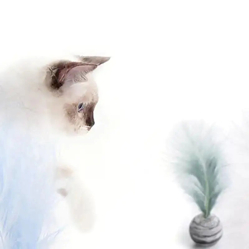 Cat sitting next to a vase with greenery on a white background