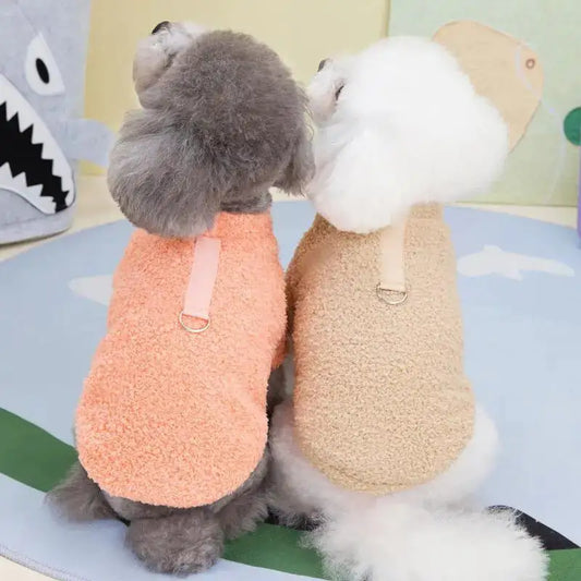 Two dogs wearing fuzzy vests sitting on a colorful floor.