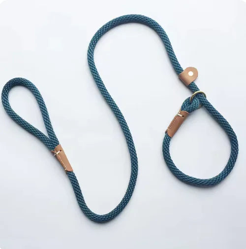 Blue rope dog leash with brass hardware on a white background