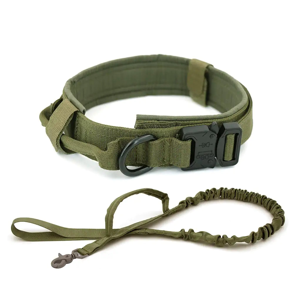 Green tactical dog collar and leash set on a white background