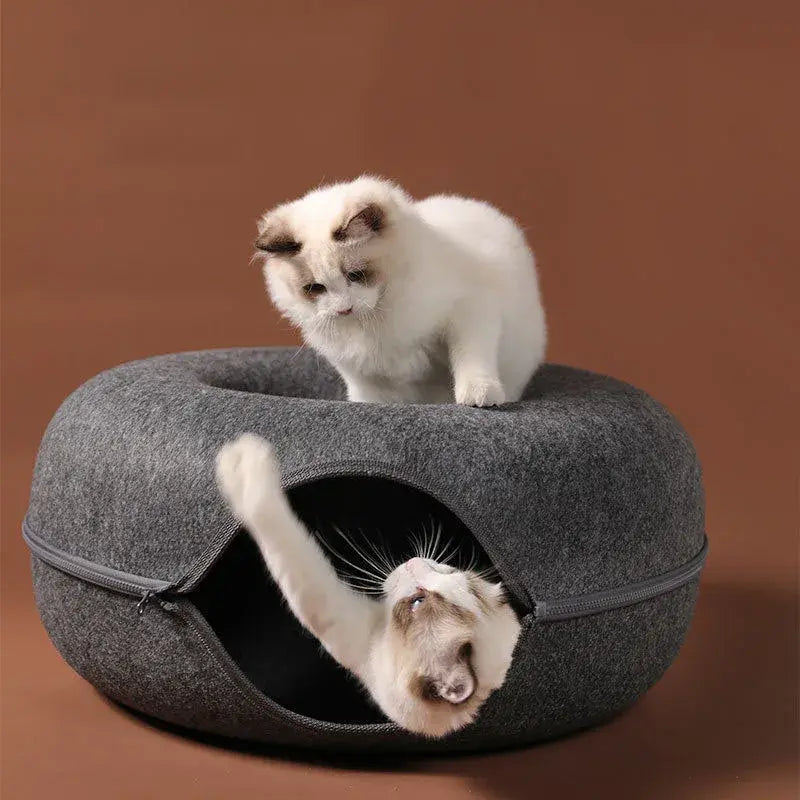 Two cats interacting with a gray pet bed on a brown background