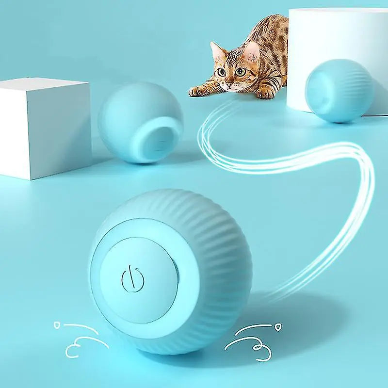 Pet toy with a cat on a blue background