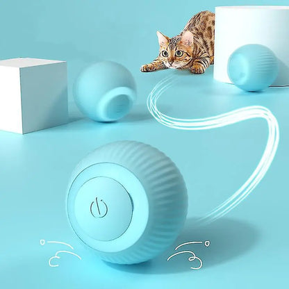 Pet toy with a cat on a blue background