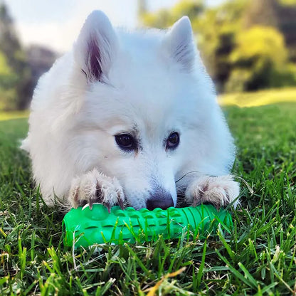 White dog playing with a green chew toy on grass
