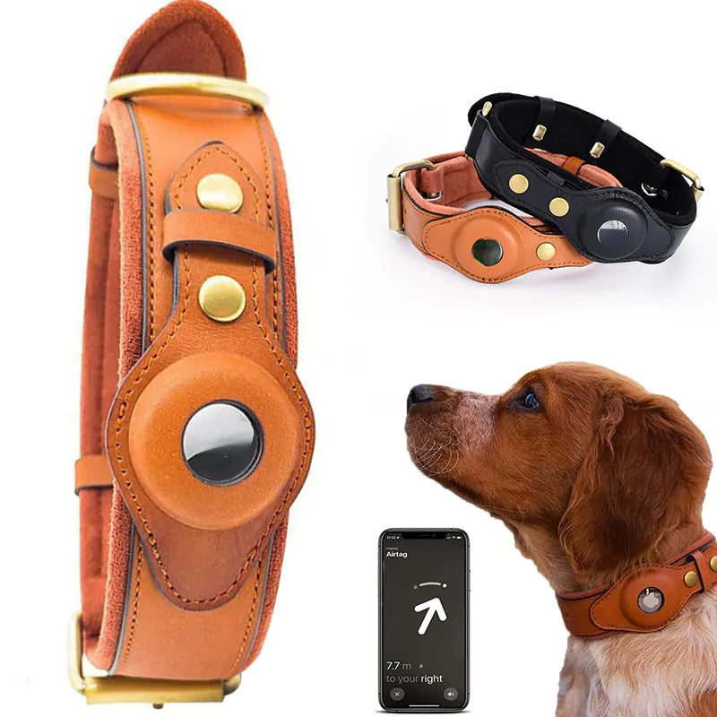 Brown leather dog collar with gold hardware, black leather collar, and a dog wearing the brown collar.