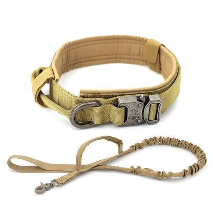 Tan dog collar and leash set on a white background
