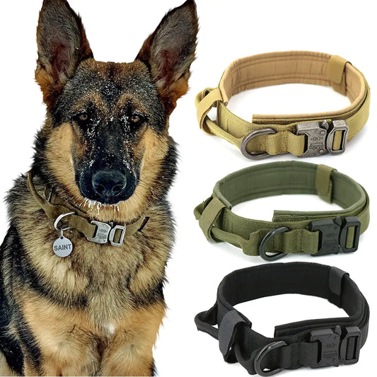 German Shepherd wearing a collar with three additional collars displayed below on a white background.