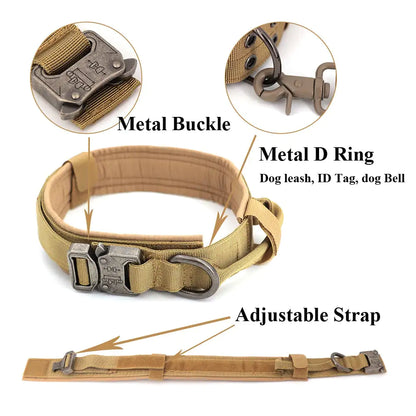 Tan dog collar with metal buckle, D ring, and adjustable strap on a white background