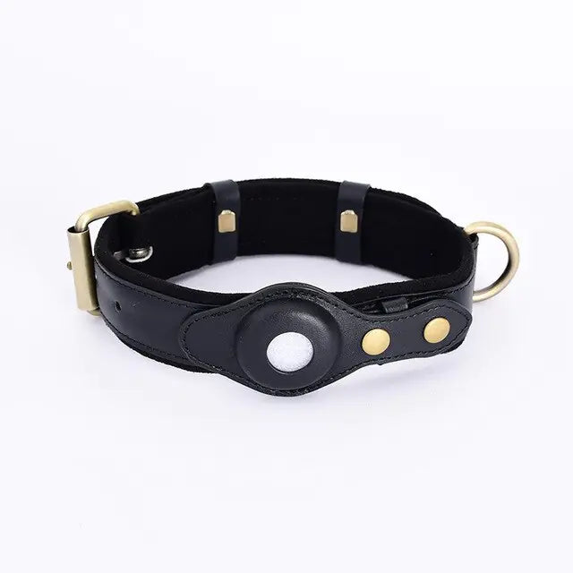 Black leather dog collar with gold hardware on a white background