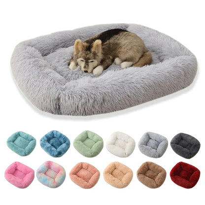 Fluffy pet bed with a dog inside, surrounded by color swatches of other pet beds.