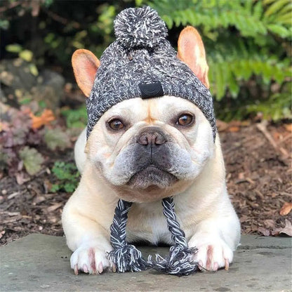 Dog wearing a gray knitted hat with a pom-pom in an outdoor setting