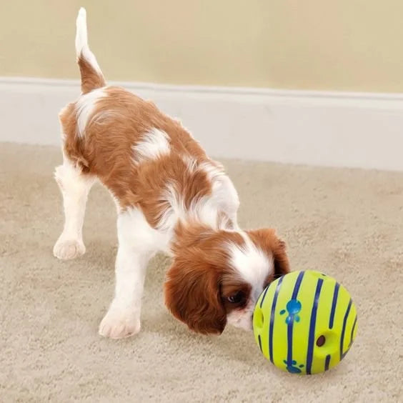Puppy playing with a colorful ball on a carpeted floor.