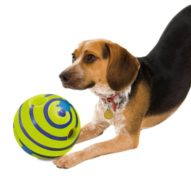 Dog playing with a colorful ball on a white background