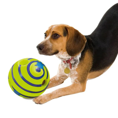 Dog playing with a colorful ball on a white background