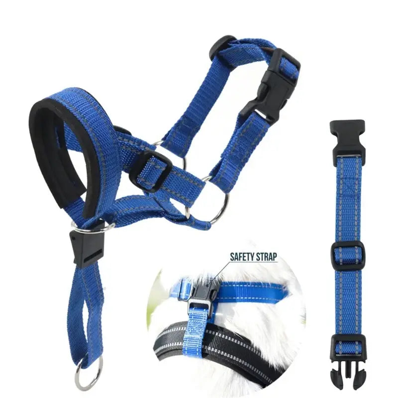 Blue dog harness with safety strap on a white background