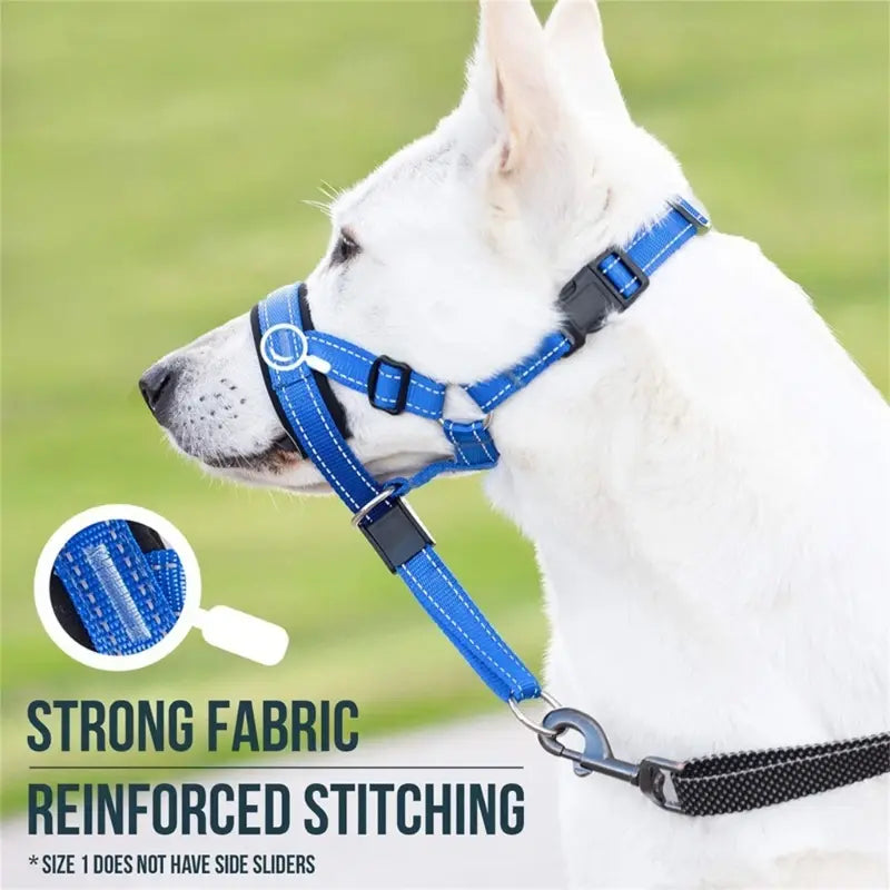 Dog wearing a blue harness with text highlighting strong fabric and reinforced stitching.