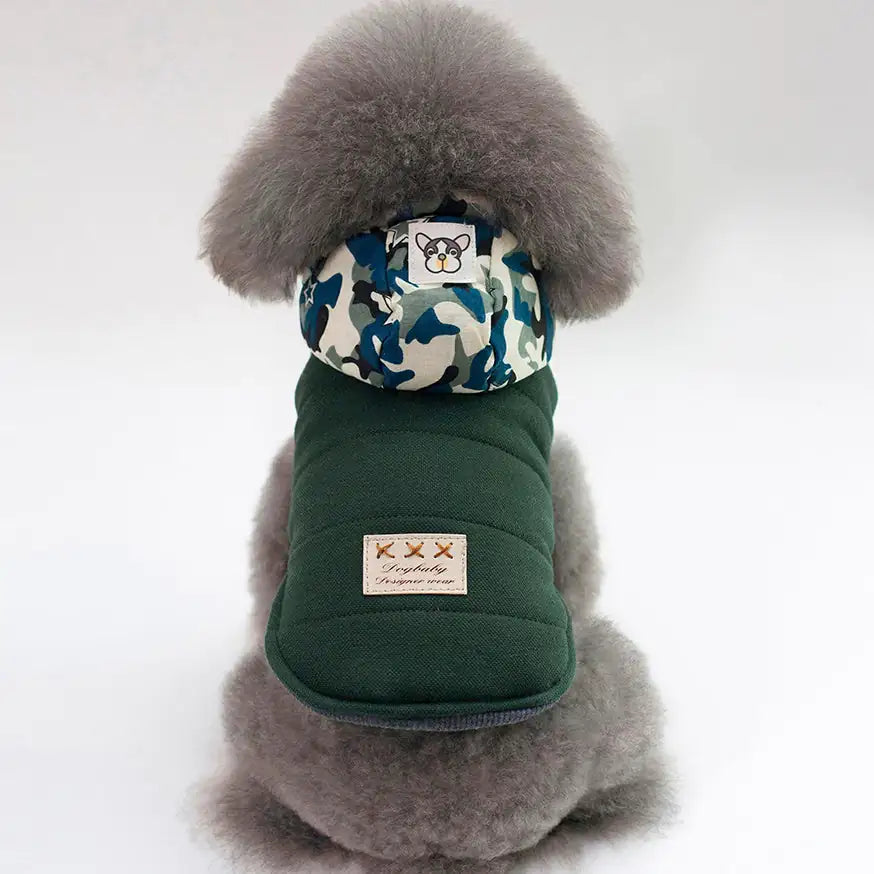 Dog wearing a green coat with camouflage pattern and fluffy hood on a white background