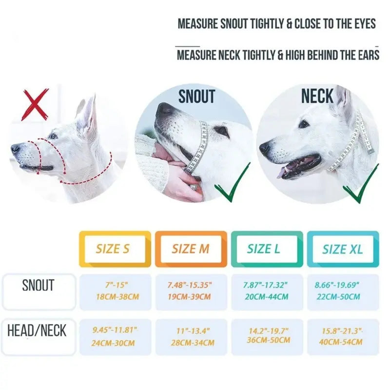 Measurement guide for dog muzzle sizes with images and text instructions.