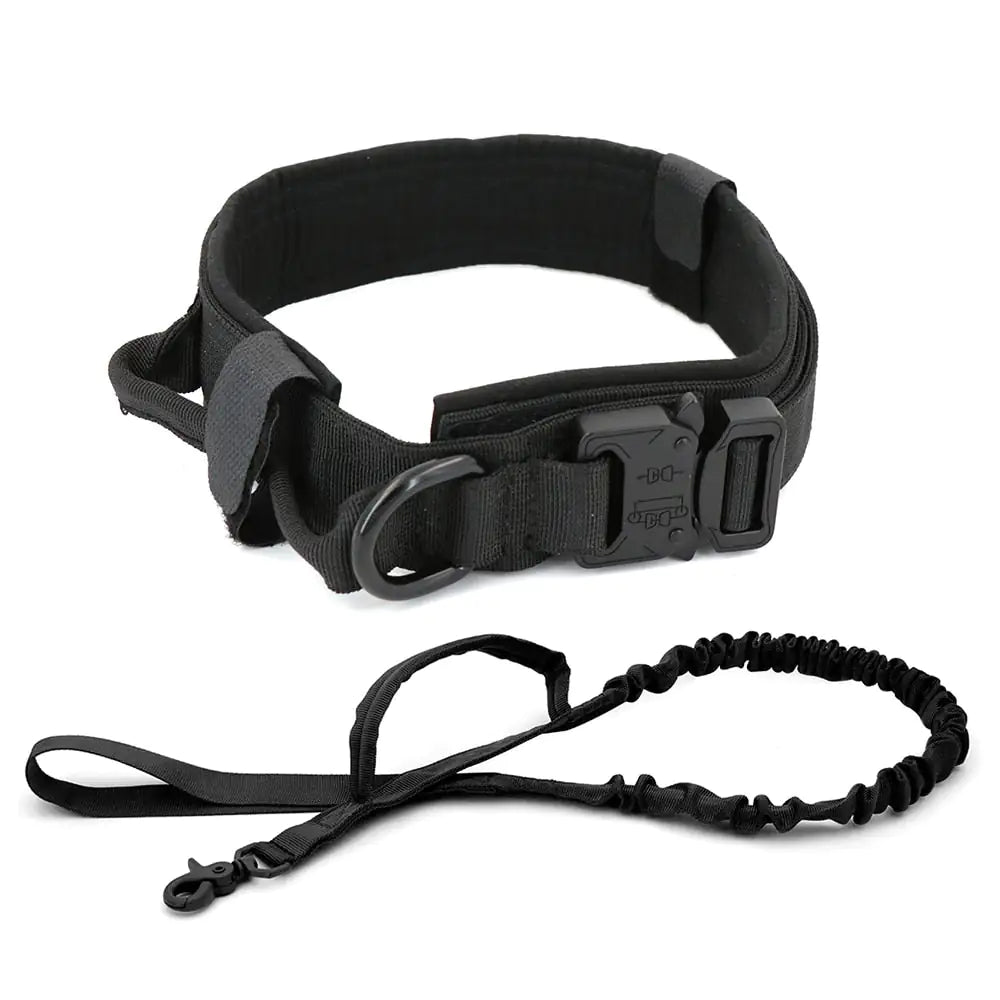 Black dog collar and leash set on a white background
