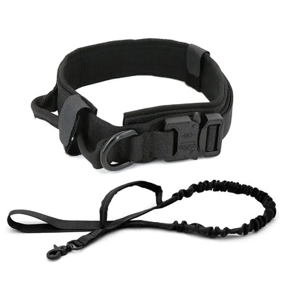 Black dog collar and leash set on a white background