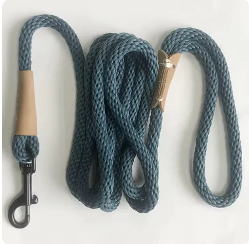 Blue dog leash with metal clip on a white background