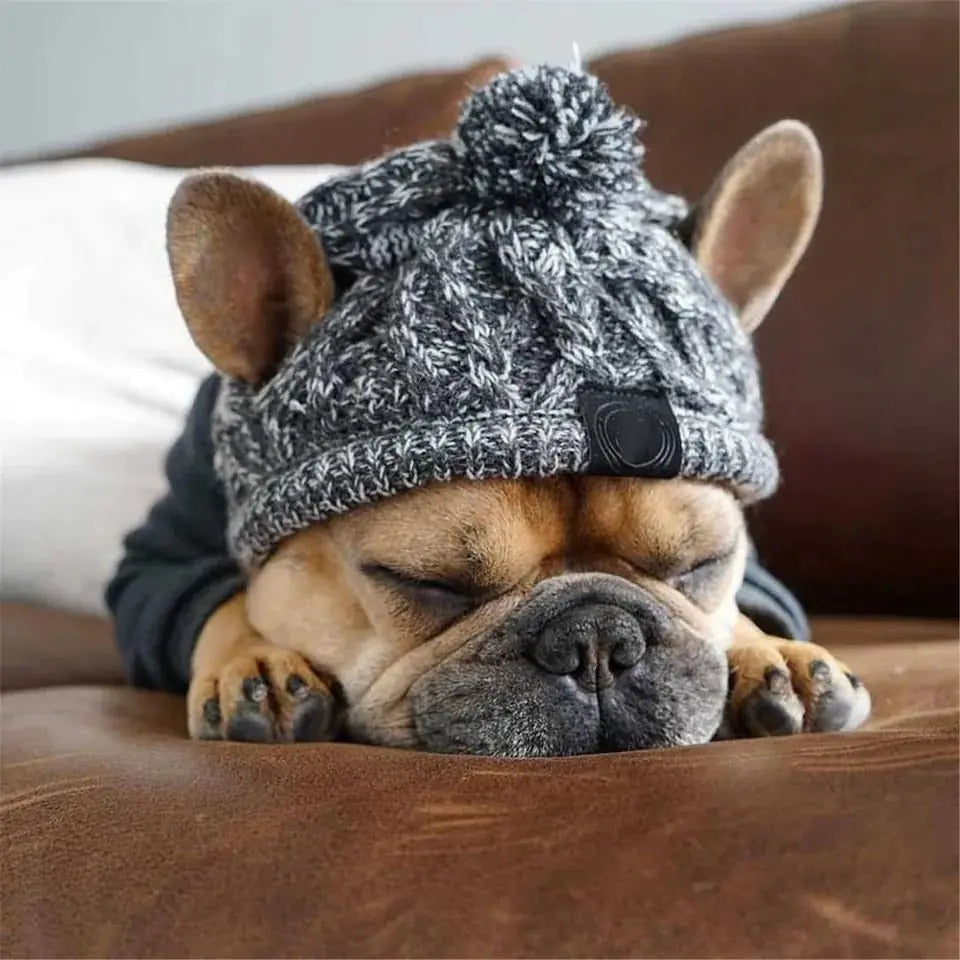 Dog wearing a knitted hat sleeping on a brown surface