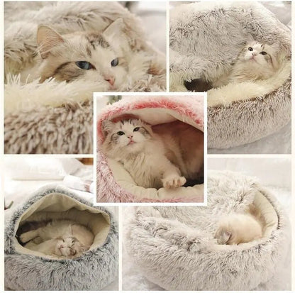 Collage of a fluffy cat lying in various soft pet beds.