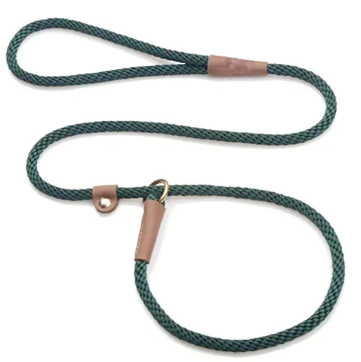 Green rope dog leash with brass hardware on a white background